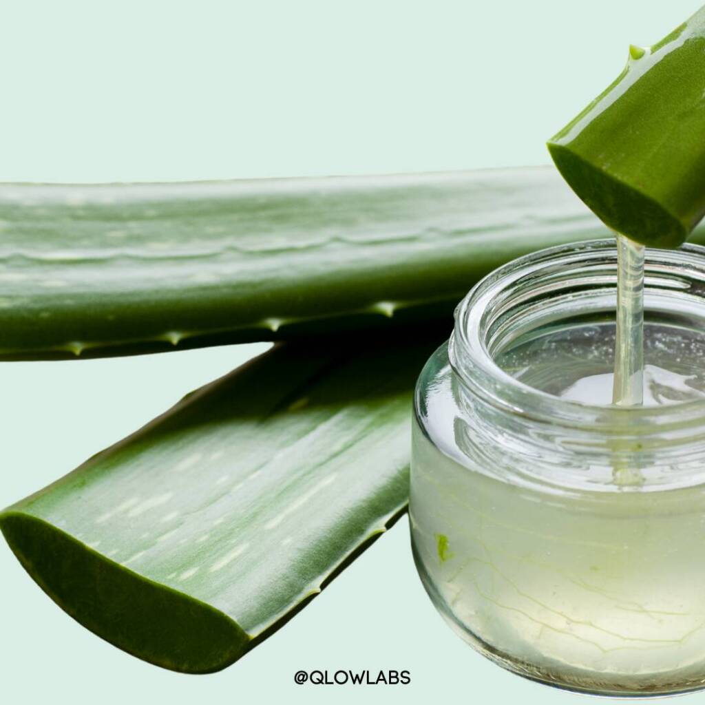 aloe vera, skincare, aloe vera gel, aloe vera creme, voordelen van aloe vera, nadelen van aloe vera